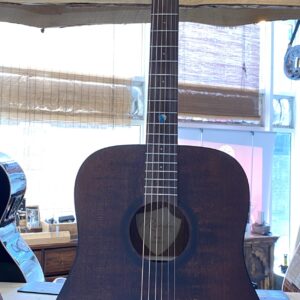 Randon RGI-10-vt dreadnought gitaar