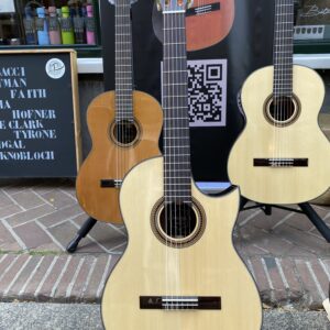 Sulayr Lattice spruce cutaway