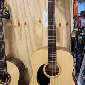 Ditson D-10 Linkshandig