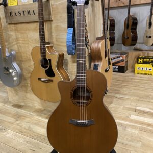lefthanded guitar