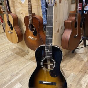 Eastman E20P Parlor gitaar